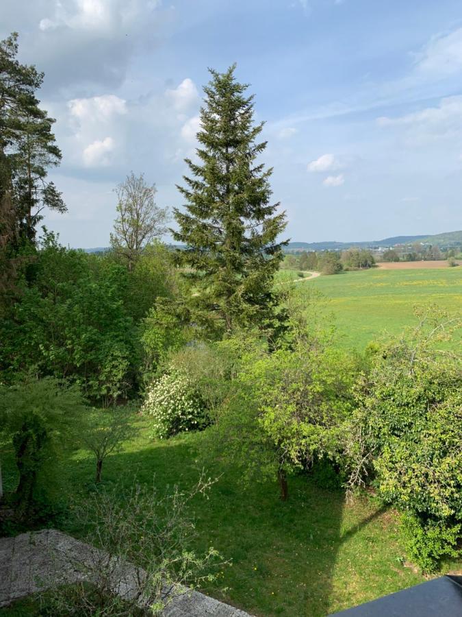 Отель Hohe Tanne Auerbach in der Oberpfalz Экстерьер фото